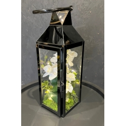 LAMPION latarenka ze storczykami i lampkami LED